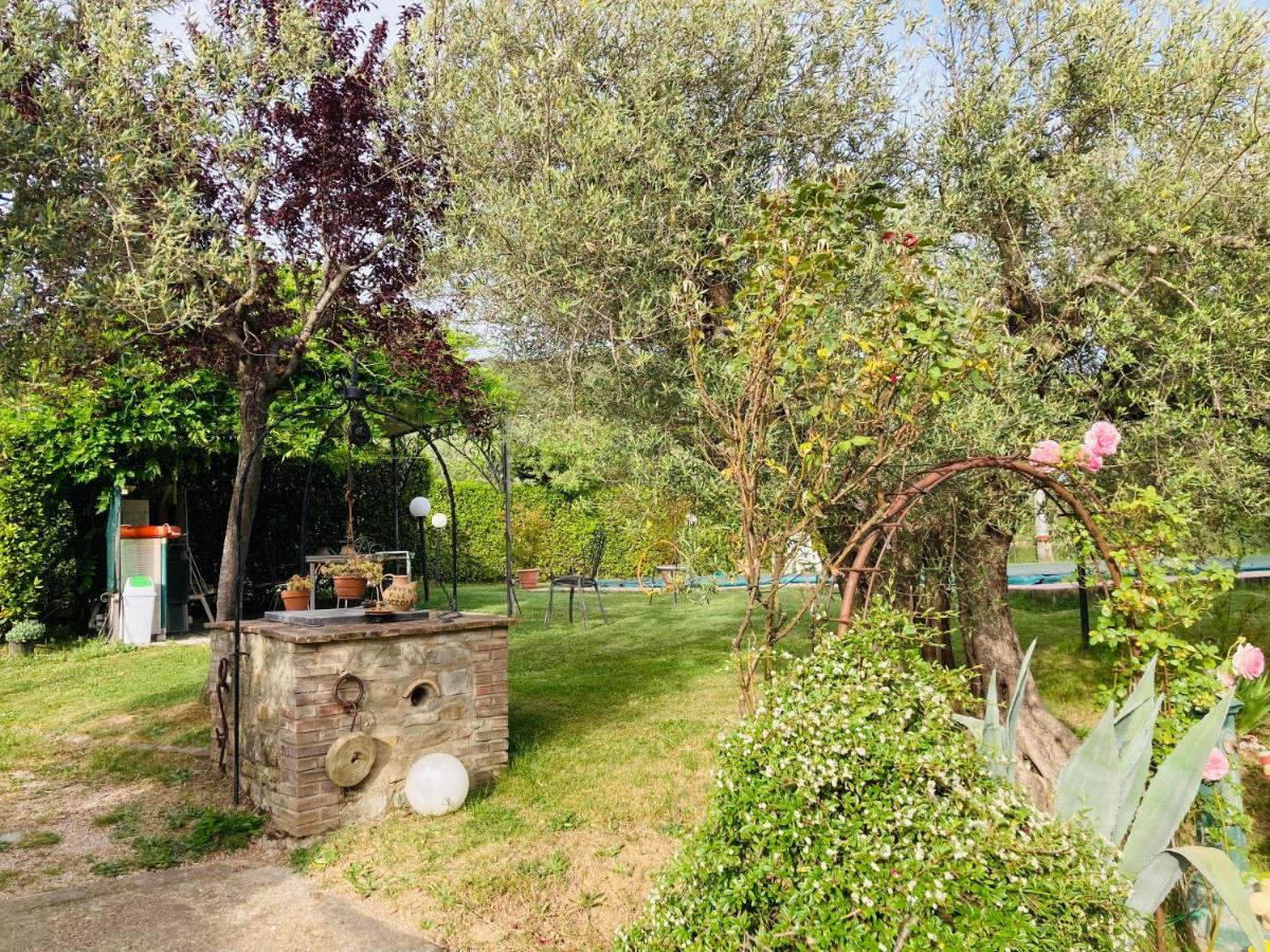 Le Coccole Del Trasimeno Casa de hóspedes Tuoro sul Trasimeno Exterior foto
