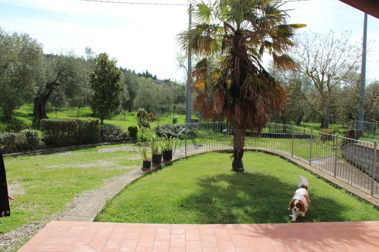 Le Coccole Del Trasimeno Casa de hóspedes Tuoro sul Trasimeno Exterior foto