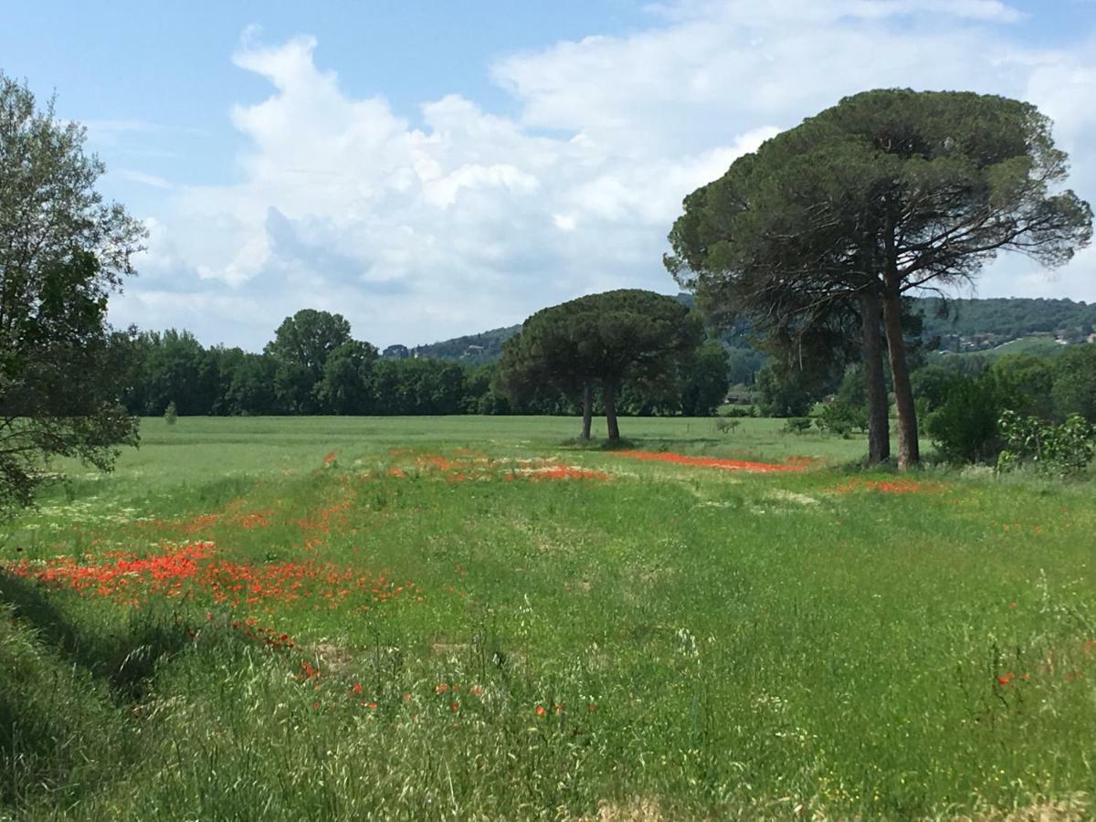 Le Coccole Del Trasimeno Casa de hóspedes Tuoro sul Trasimeno Exterior foto